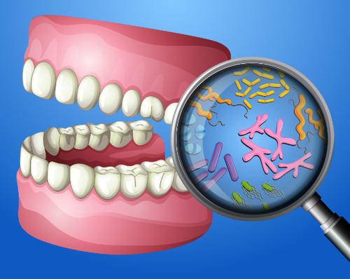 Oral bacteria