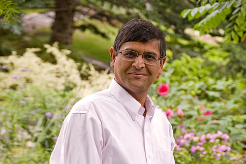 Regents Professor Vipin Kumar