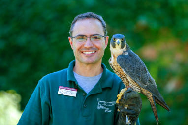 Mike Billington with raptor perched on his gloved hand