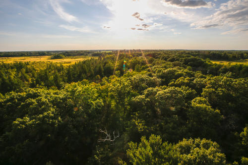  Cedar Creek, prairie and oak savannas meet hardwood and softwood forests