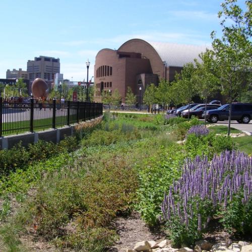 view of rain garden outside Huntington Bank Stadium with Marucci Arena in background