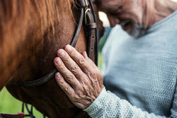 man petting horse in field